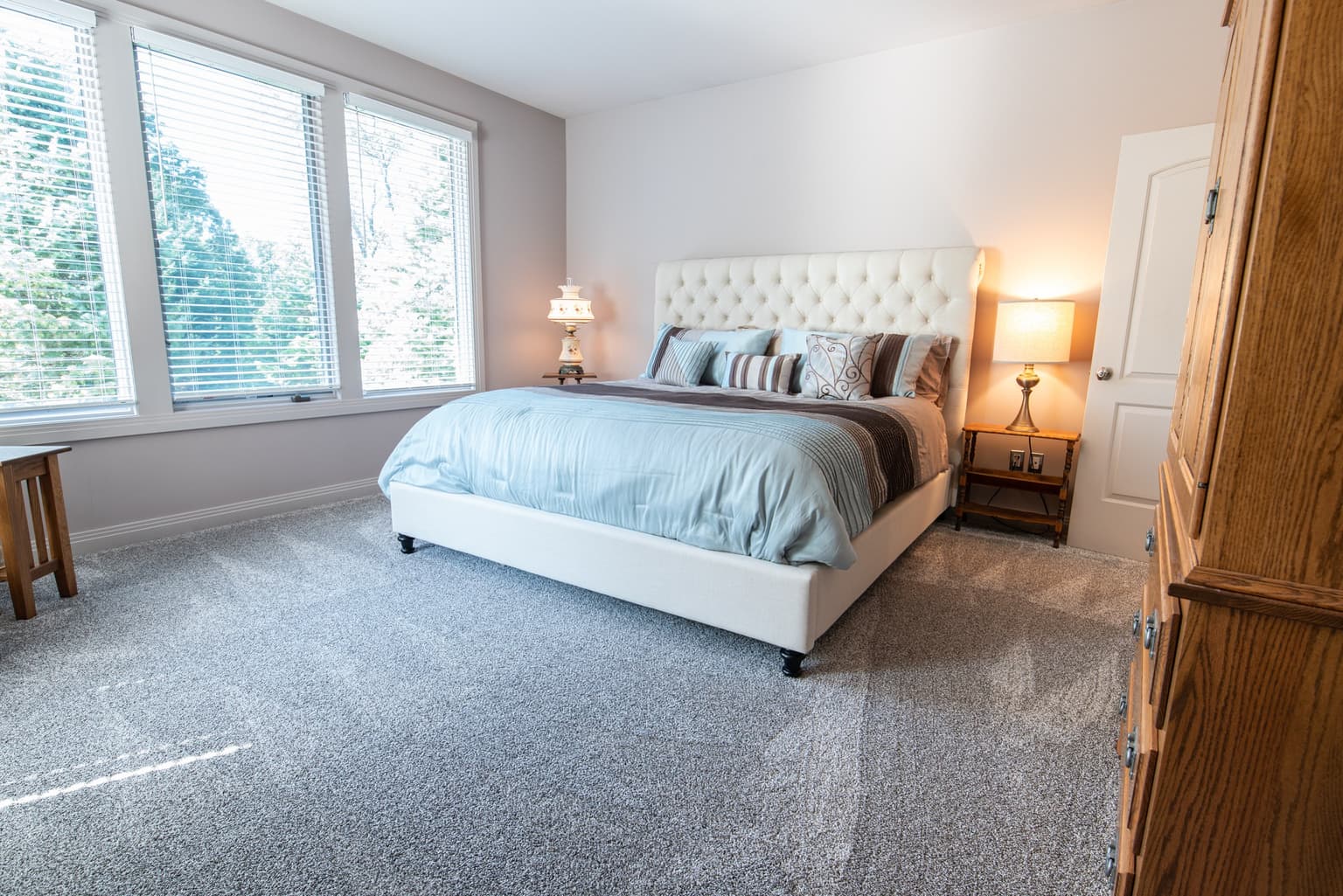 About Safe-Dry Carpet Cleaning of Pleasant View