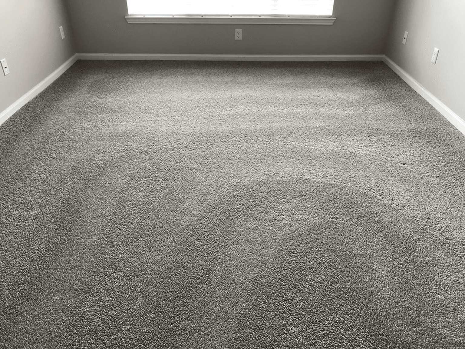 Carpet cleaning in Cedar Hill, TN