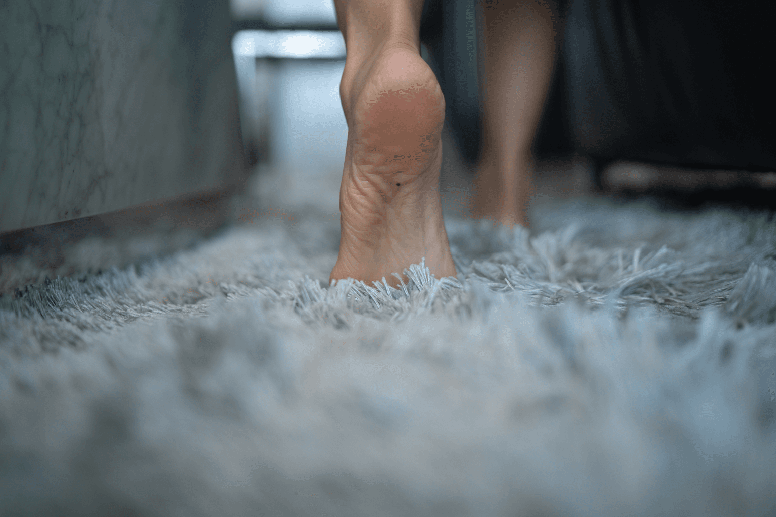 Carpet cleaning in Joelton, TN