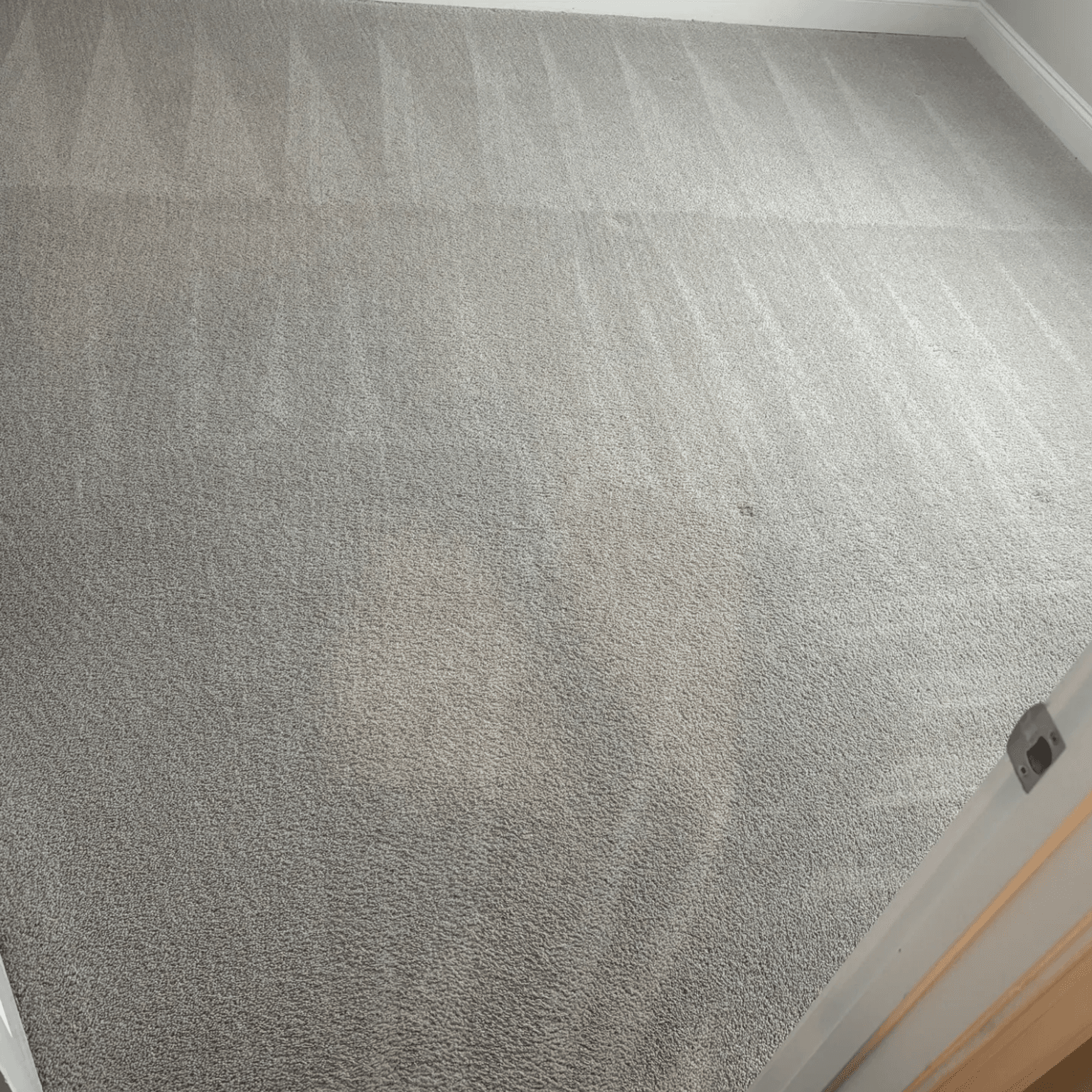 Carpet cleaning in Pleasant View, TN