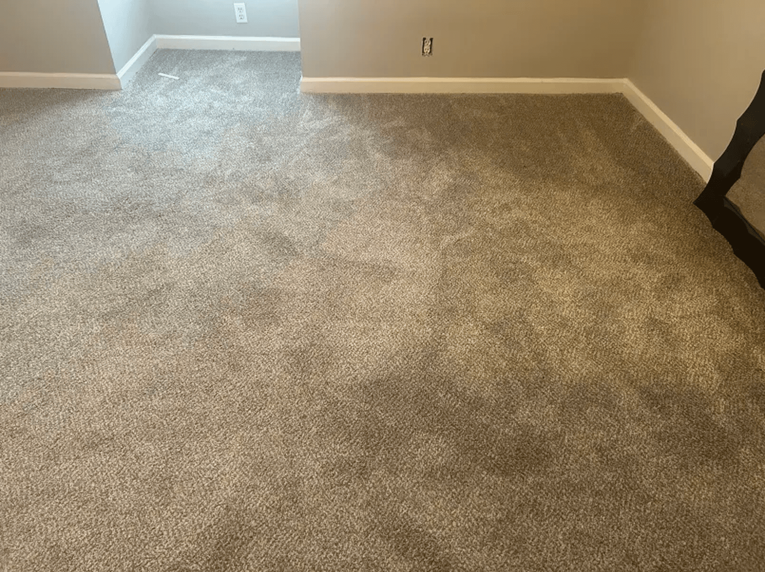 Carpet cleaning in Ridgetop, TN