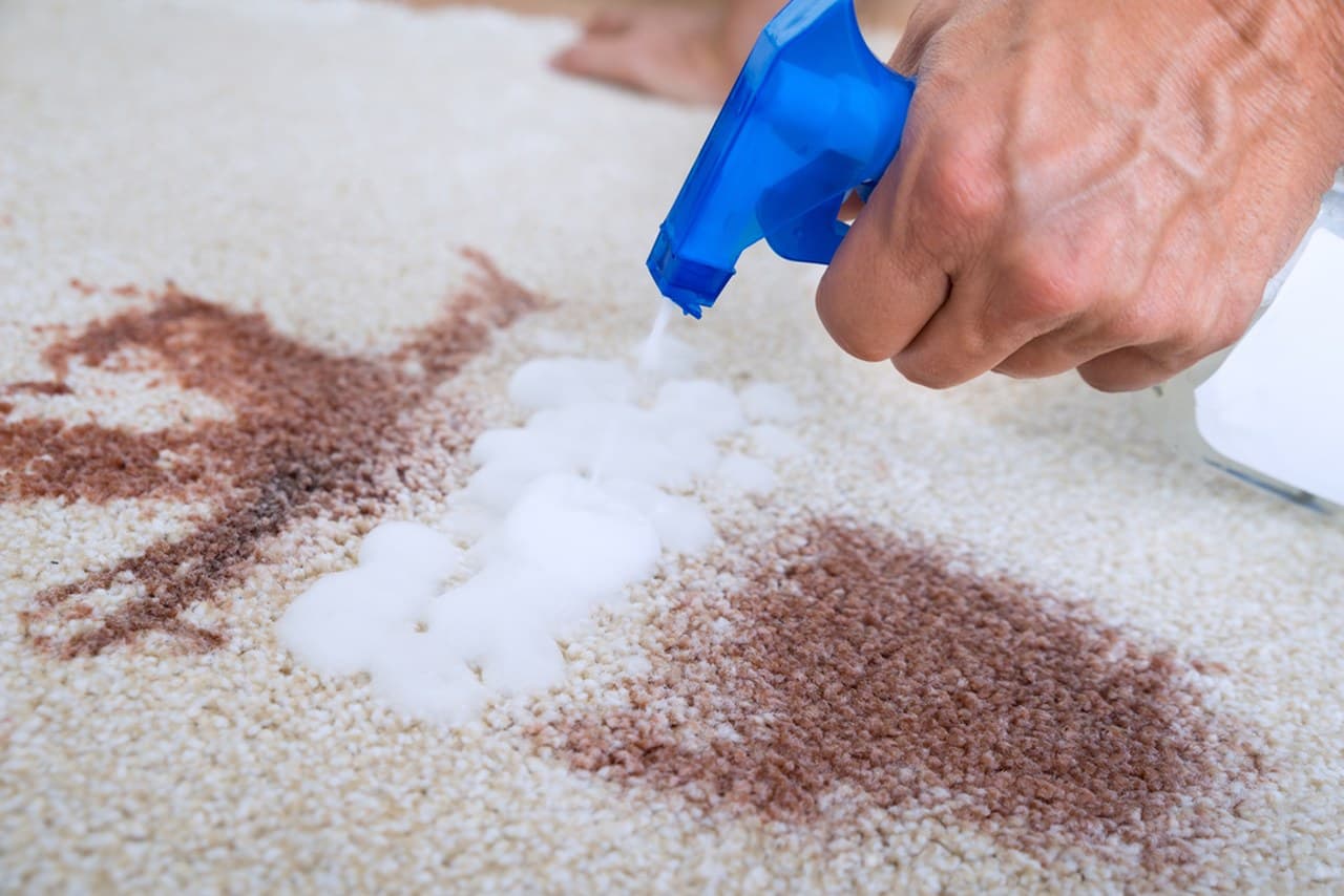 How to Get Coffee Stains Out of Carpet