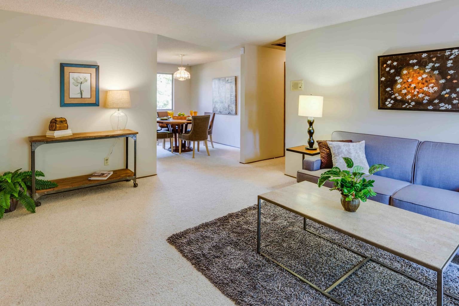 Carpet Cleaning in Pleasant View TN